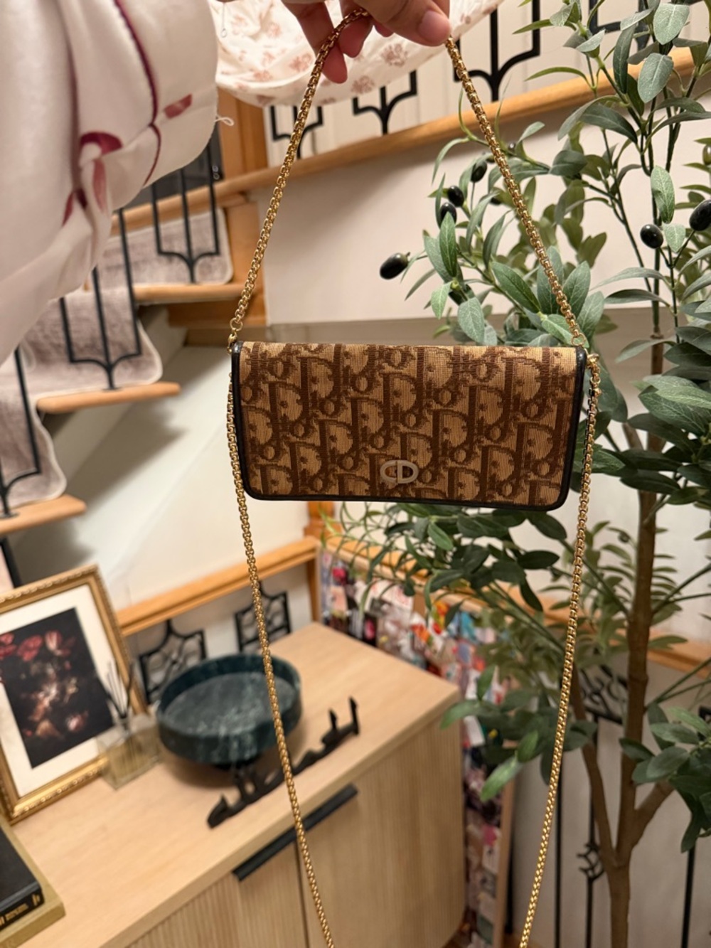 Dior Brown Monogram Chain Crossbody Bag with Gold Hardware